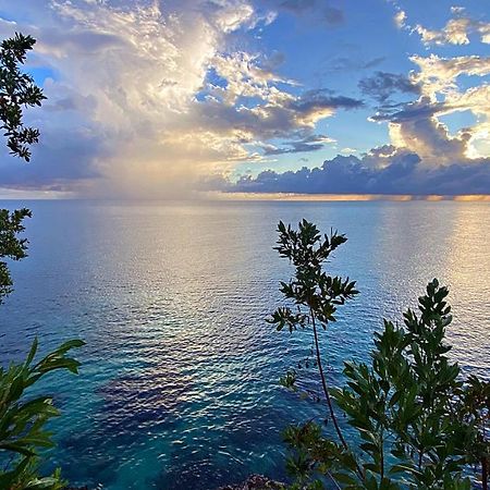 Oceanfront Condo W/ Free Parking + High Speed Wifi Negril Exteriör bild