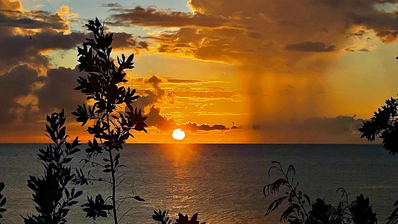 Oceanfront Condo W/ Free Parking + High Speed Wifi Negril Exteriör bild
