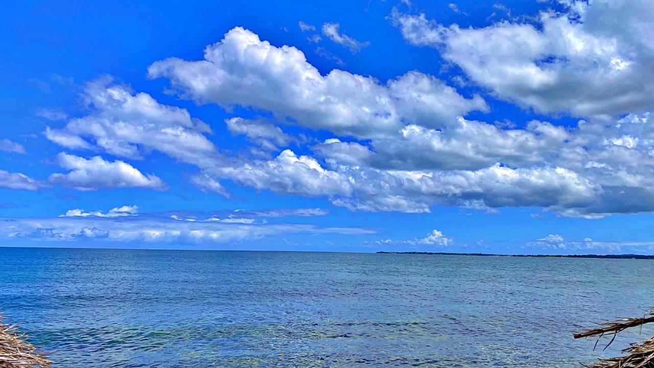 Oceanfront Condo W/ Free Parking + High Speed Wifi Negril Exteriör bild